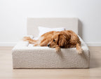 Snoopy's Cloud Bed