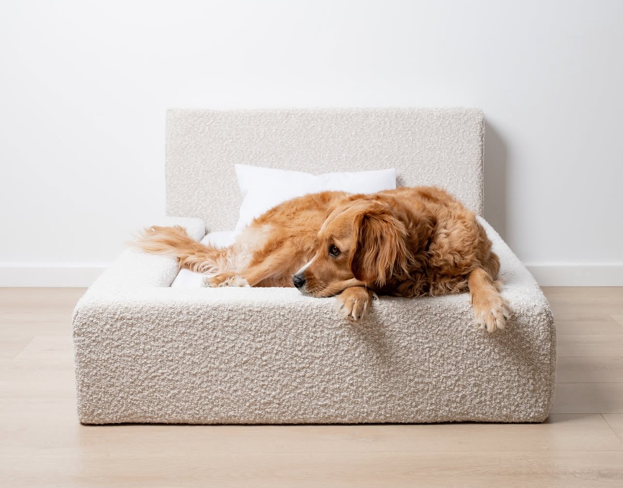 Snoopy's Cloud Bed