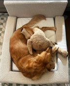 Snoopy's Cloud Bed