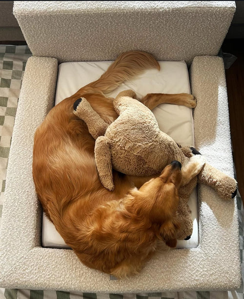 Snoopy's Cloud Bed